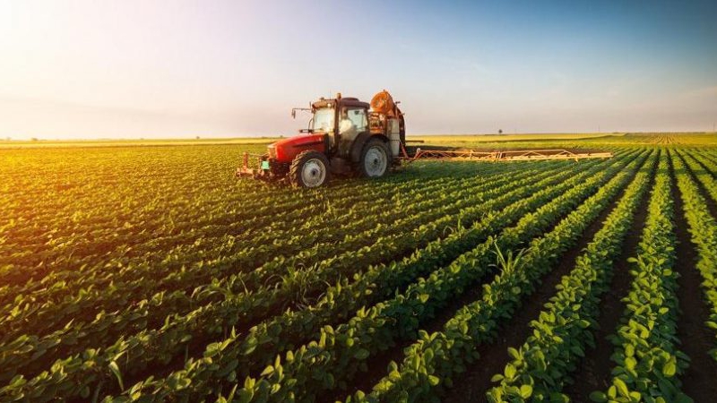 Kırsal Kalkınma Yatırımlarının Destekleri Başvuru Süresi 14 Kasım 2019 Tarihine Kadar Uzatıldı!