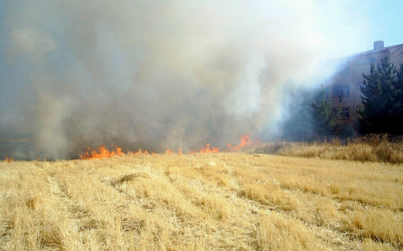 Diyarbakır İl Tarım Ve Orman Müdürlüğü’nün Anız Yakılmasının Önlenmesine İlişkin Bildirisidir