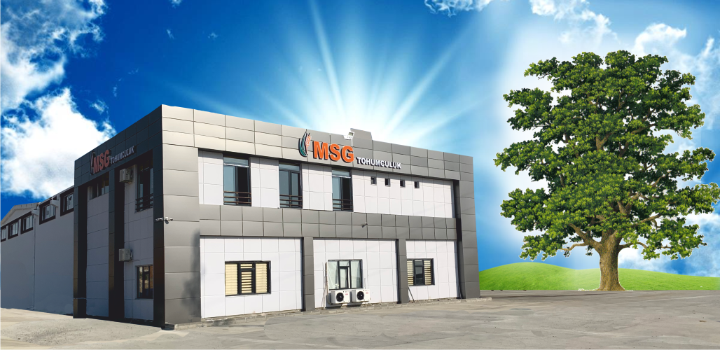 MSG Tohumculuk
